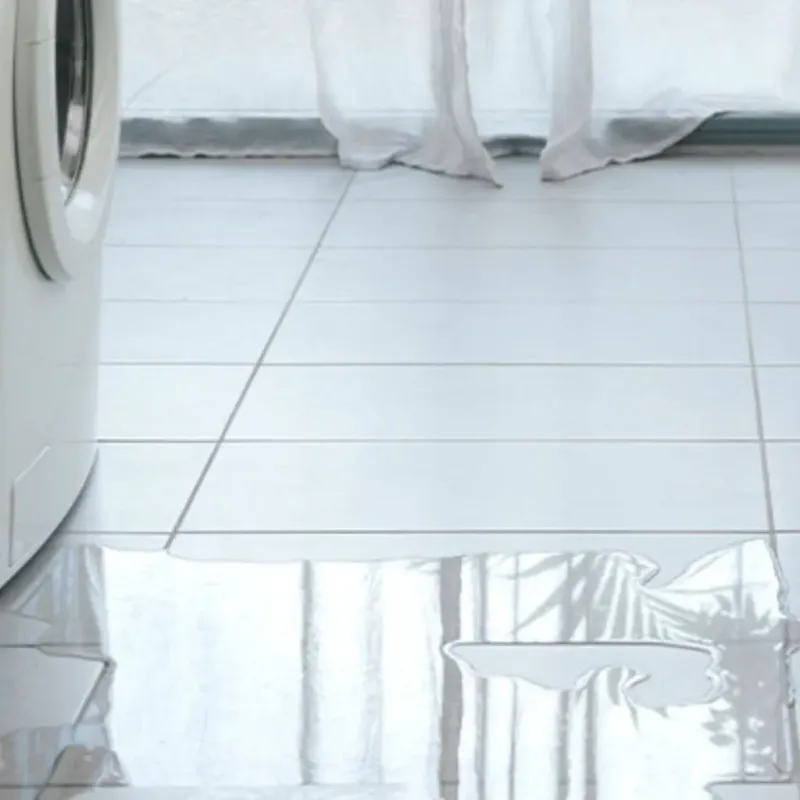 Appliance Leak Cleanup in East Grand Rapids, MI