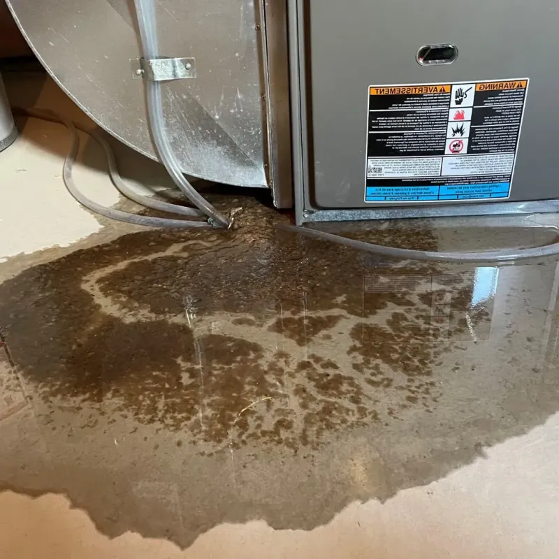Pipe Burst and Leak Restoration in East Grand Rapids, MI